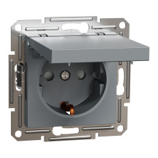 Розетка з кришкою з заземленням сталь Schneider Asfora EPH3100162