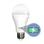 Лампа аккумуляторная Е27 LED CT-4229 АС 9W DC 3W 6400K